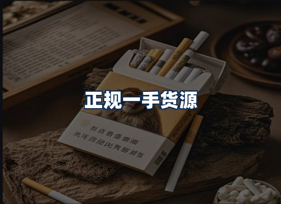 专业团队办公环境