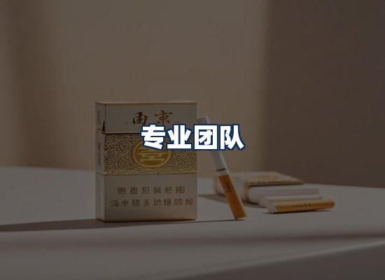 专业团队